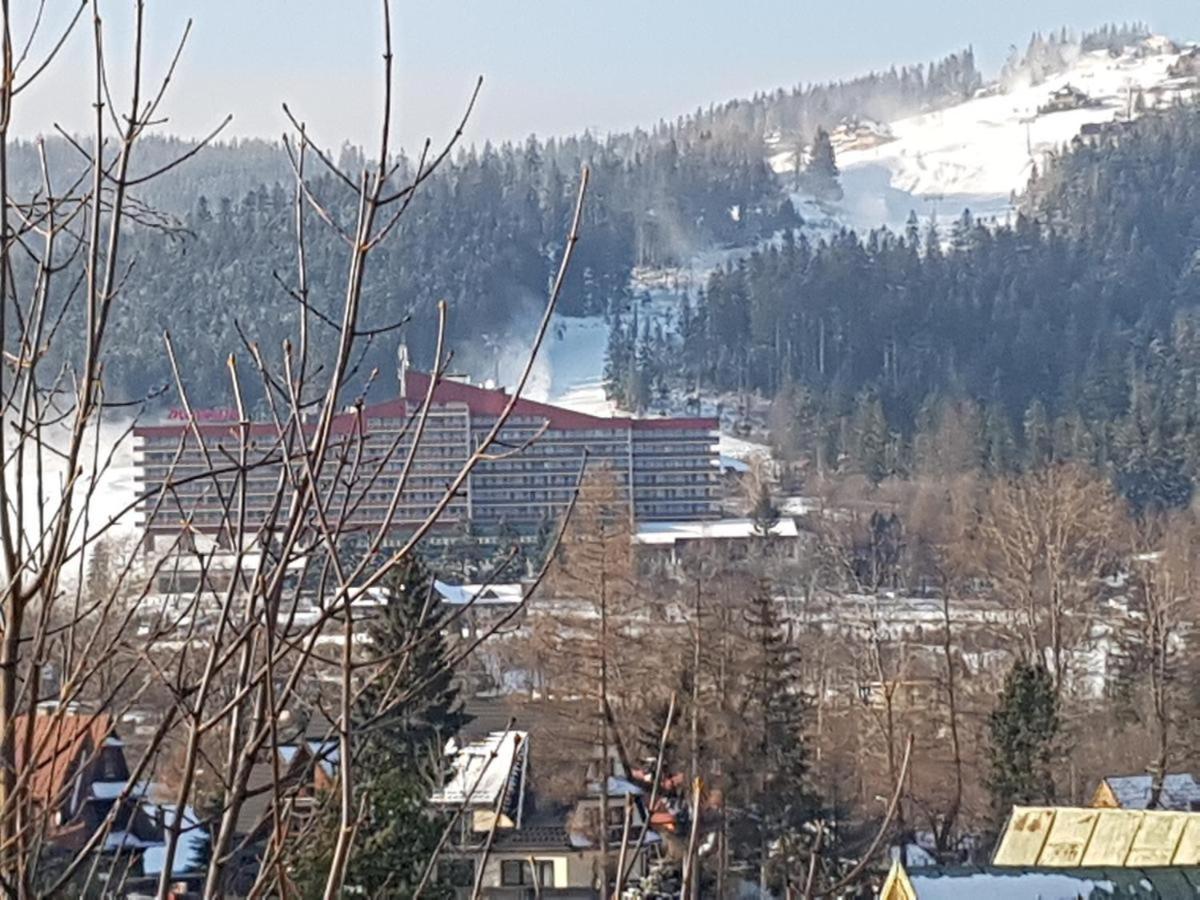 Pensjonat u Barbary i Jacka Zakopane Eksteriør bilde